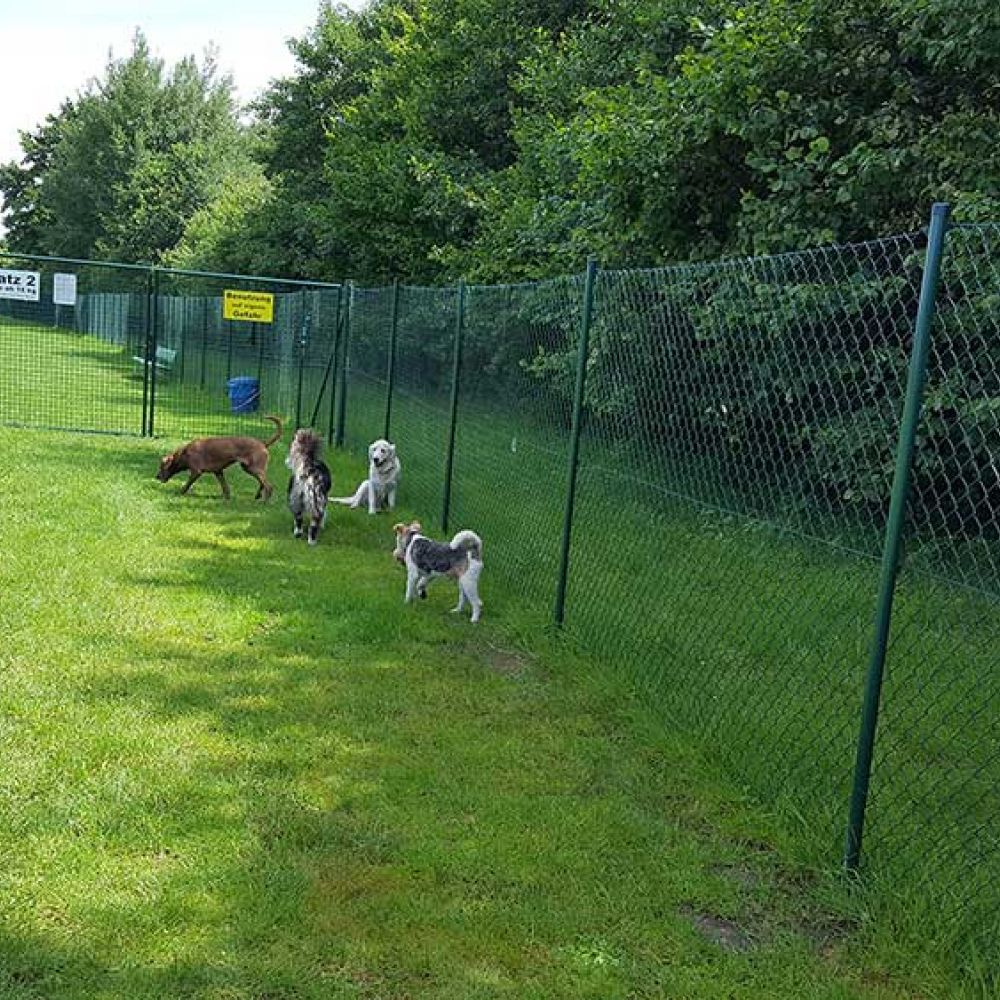 Für jeden Hund in Tornesch